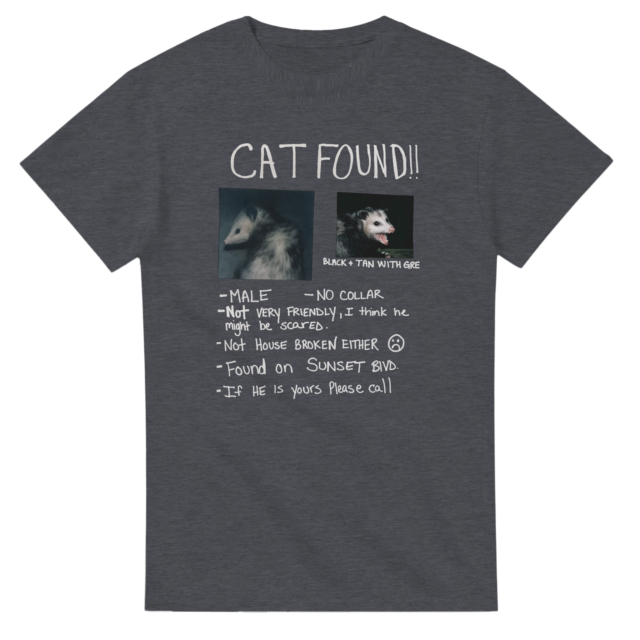 a72913bc-873b-4c71-bb29-b18799fc88f5